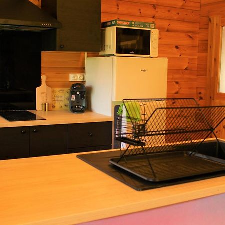 Chalet Pyreneen Saint-Ybars Εξωτερικό φωτογραφία