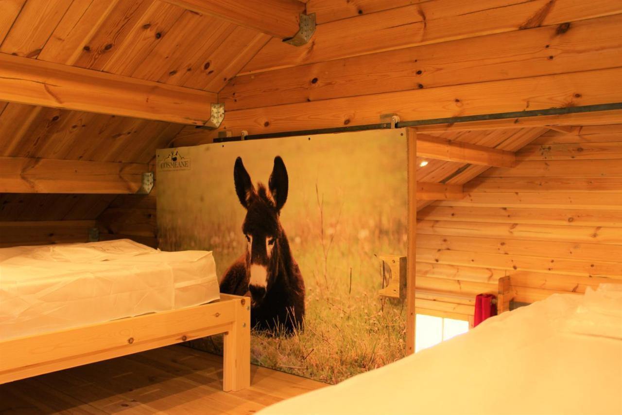 Chalet Pyreneen Saint-Ybars Εξωτερικό φωτογραφία