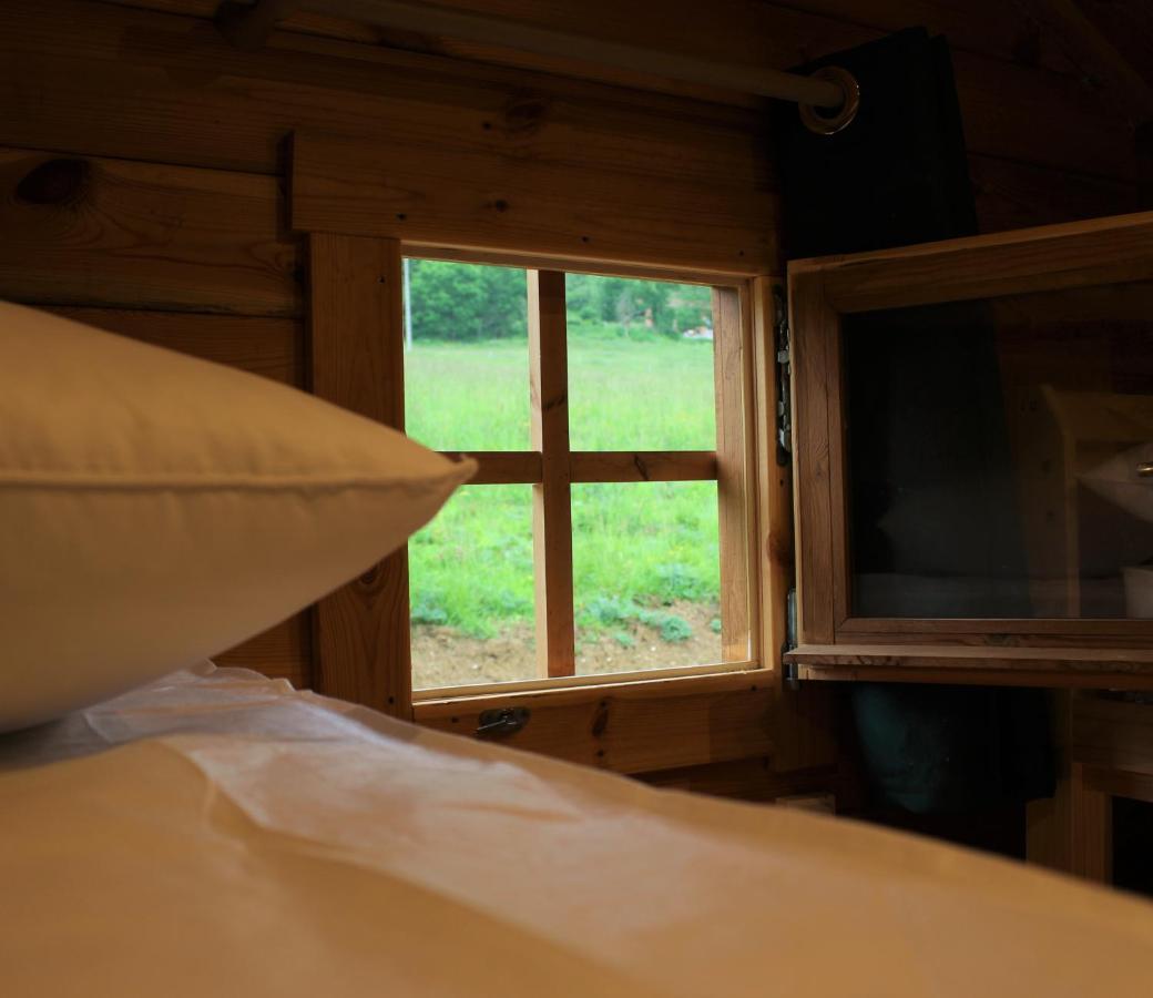 Chalet Pyreneen Saint-Ybars Εξωτερικό φωτογραφία