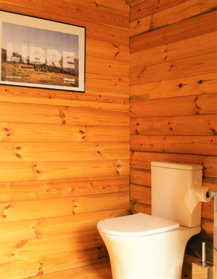 Chalet Pyreneen Saint-Ybars Εξωτερικό φωτογραφία