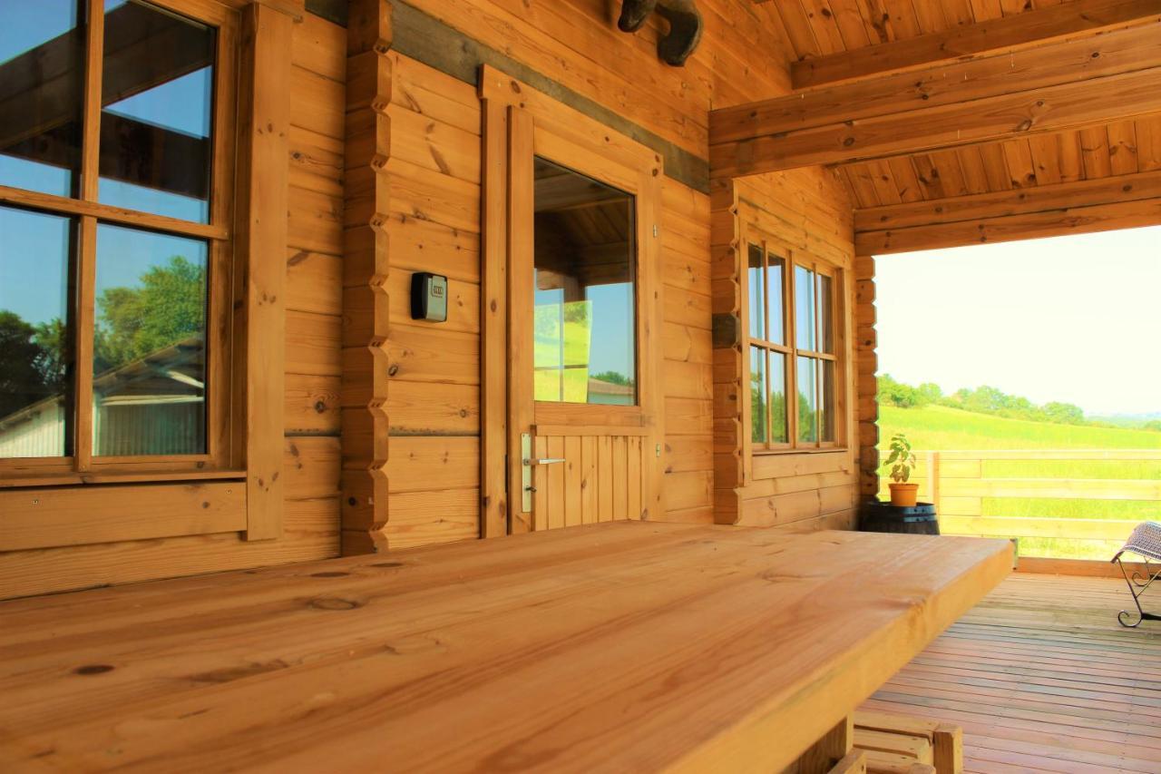 Chalet Pyreneen Saint-Ybars Εξωτερικό φωτογραφία